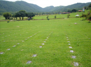 Coroa de Flores ACESF - Administração dos Cemitérios e Serviços Funerários de Londrina (Londrina/PR)